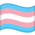 :transgender_flag: