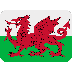 :wales: :wales: